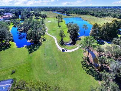 Aerial view of greens