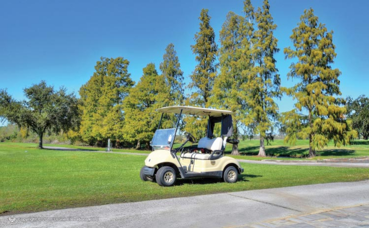 golf cart next to path